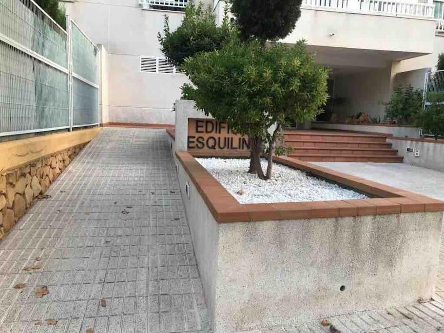 Apartamento Bulevar En Playa Albir アルビール エクステリア 写真